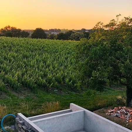 Beausejour فيلة *