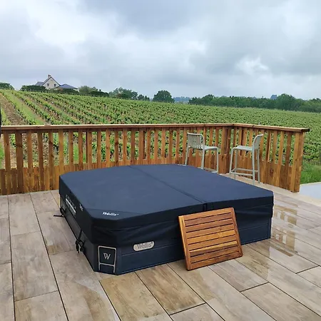 Vila De Groupe Beausejour - Sejour Premium Au Coeur Des Coteaux Du Layon