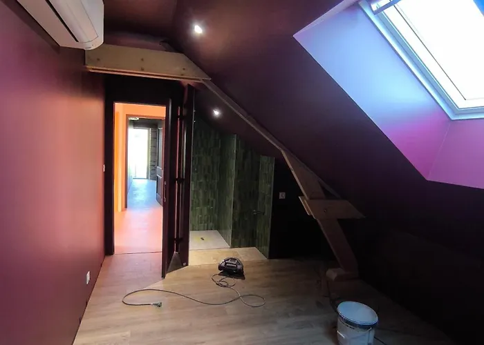 فيلة Beausejour *